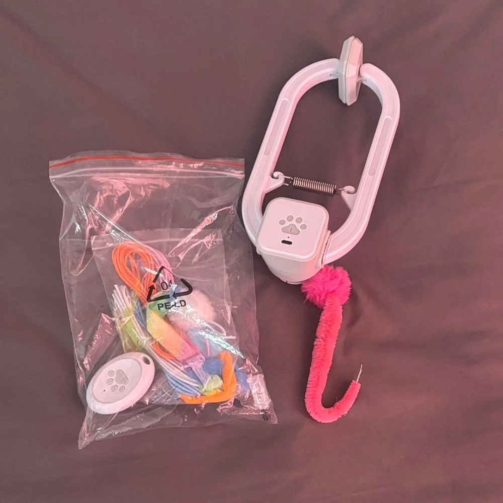 Pet Toy with Remote and Colorful Accessories